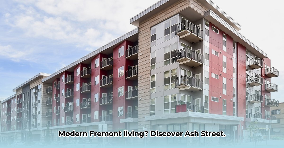 ash-street-apartments